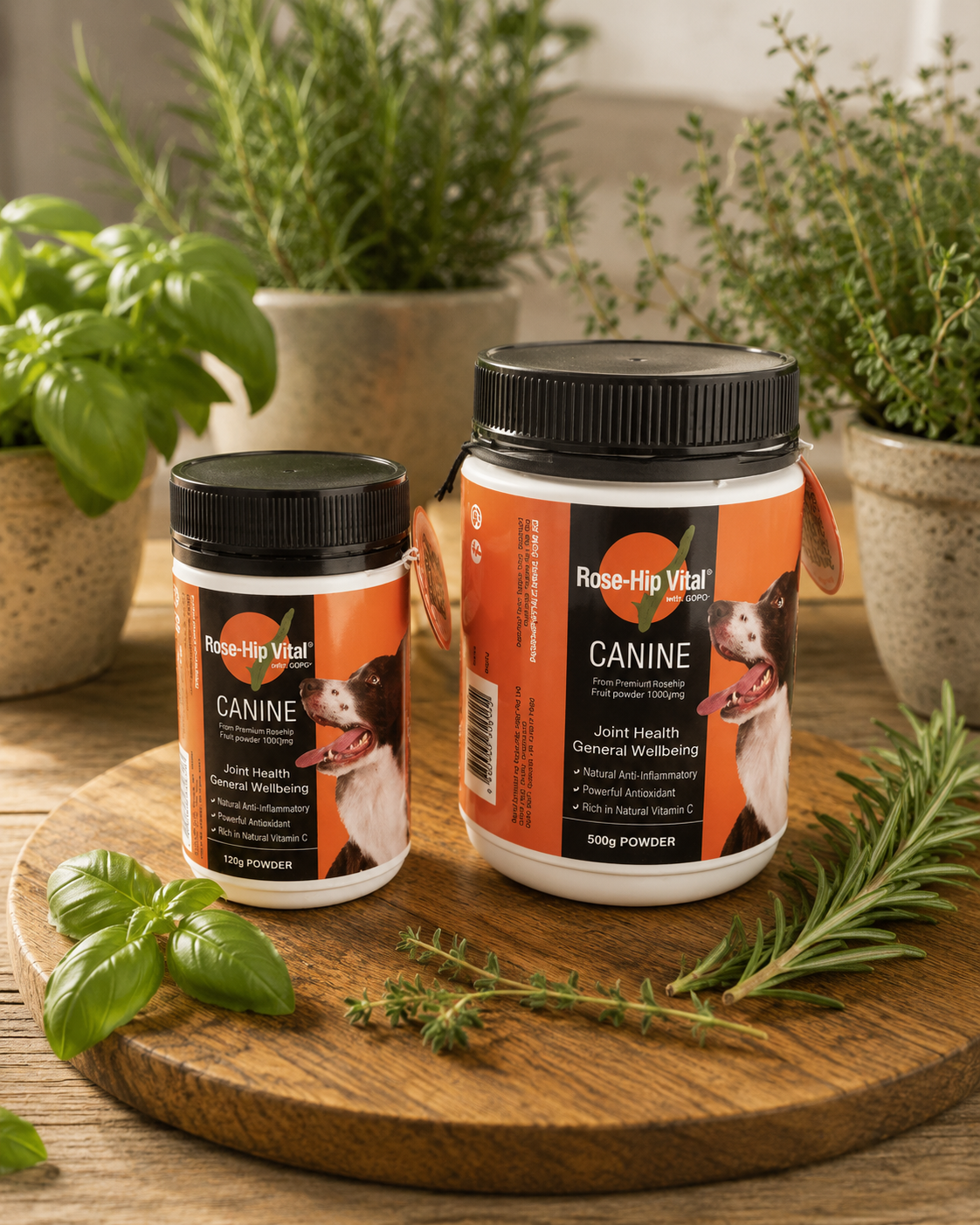 Rose-Hip Vital Canine