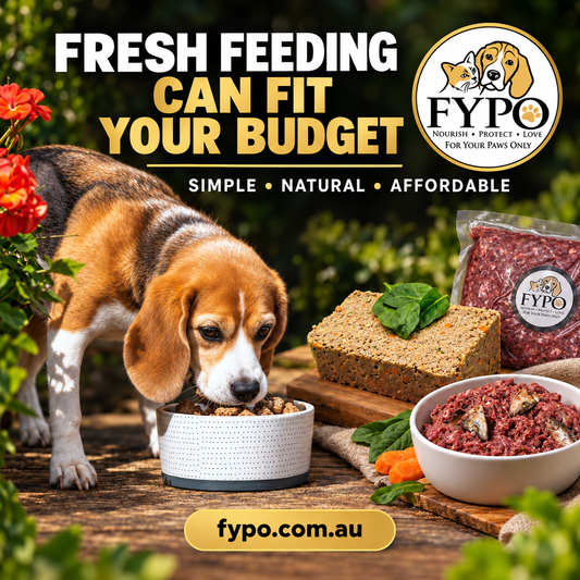 Feeding Fresh Food on a Household Budget