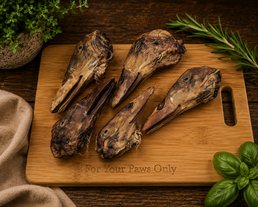 Duck Heads with Beaks EA