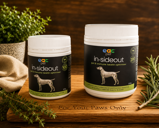 In-sideout DOG Formula Probiotic