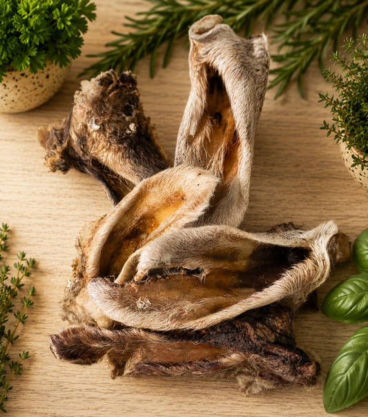Woolly Lamb Ears EA